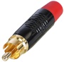 Rean RF2CB2 