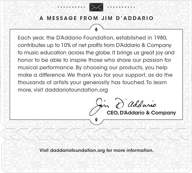 D'Addario EJ29 D'Addario EJ29