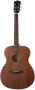 Parkwood S22M Natural Satin