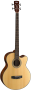 Cort SJB5F Natural Satin WBag 