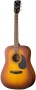 Cort AD810 Satin Sunburst 