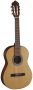 Cort AC70 WBag Open Pore