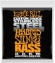 Ernie Ball 2843 
