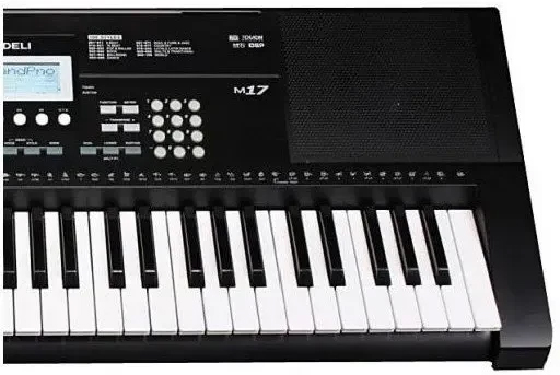 Medeli M17 Medeli M17