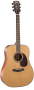 Cort Earth100 Natural Glossy