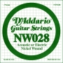 D'Addario NW028