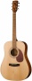 Cort Earth60 Open Pore 