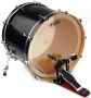 Evans BD22GB4 