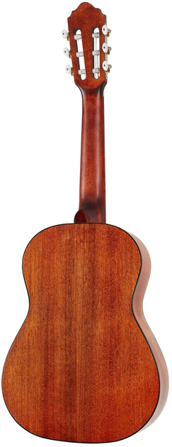 Cort AC50 WBag Open Pore Cort AC50 WBag Open Pore