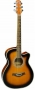 Flight F230C Sunburst