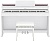 Casio AP470 White 