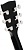 Cort Earth60 Black 