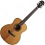 Gopherwood i210R 