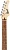 Cort G110 Open Pore Black Cherry 