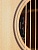 Parkwood S26GT Natural 