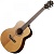 Gopherwood i210R 