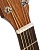 Cort Earth60 Natural Gloss 